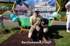 Zdjęcie 29
