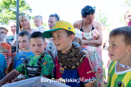 Zdjęcie 47
