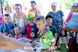 Zdjęcie 50