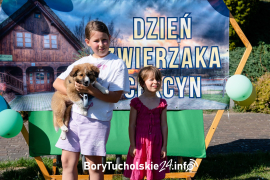 Zdjęcie 51