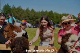 Zdjęcie 30