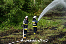 Zdjęcie 8