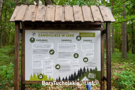 Zdjęcie 47