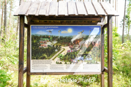 Zdjęcie 49