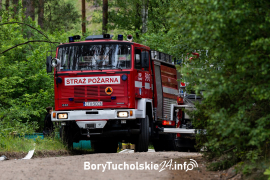 Zdjęcie 19