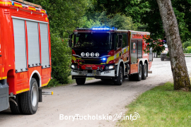 Zdjęcie 31
