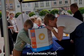 Zdjęcie 43