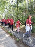 Zdjęcie 14