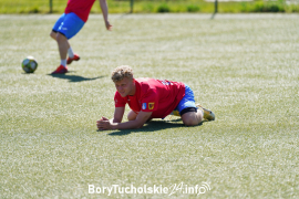 Zdjęcie 42