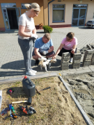 Zdjęcie 12