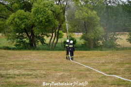Zdjęcie 81
