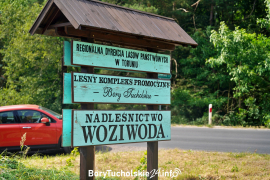 Zdjęcie 1