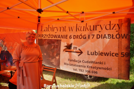 Zdjęcie 11
