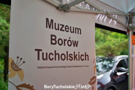 Zdjęcie 99