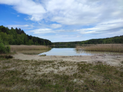 Zdjęcie 8