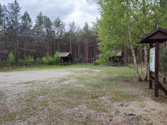 Zdjęcie 15