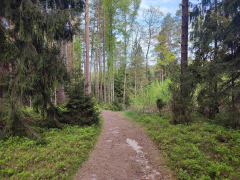Zdjęcie 1