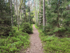 Zdjęcie 16