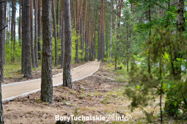 Zdjęcie 6