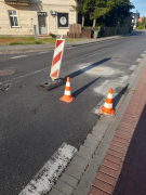 Zdjęcie 1