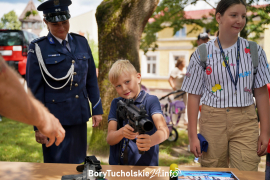 Zdjęcie 37