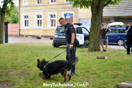 Zdjęcie 52