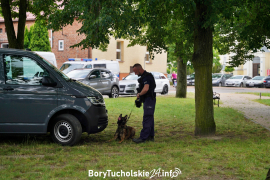 Zdjęcie 54