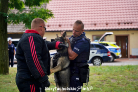 Zdjęcie 65