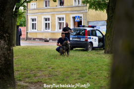 Zdjęcie 68
