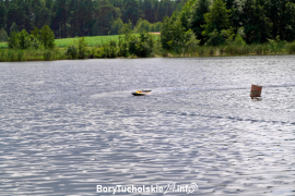 Zdjęcie 25