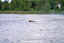 Zdjęcie 39