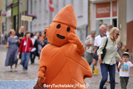 Zdjęcie 226