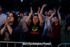 Zdjęcie 87