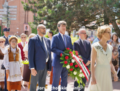 Zdjęcie 8