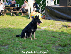 Zdjęcie 41