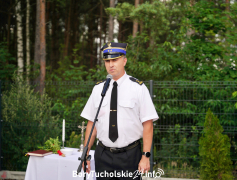 Zdjęcie 66
