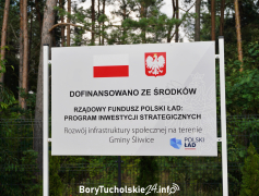 Zdjęcie 87