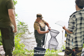 Zdjęcie 38