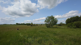 Zdjęcie 15