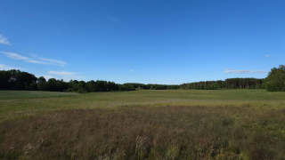Zdjęcie 24