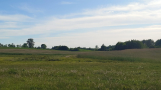 Zdjęcie 25