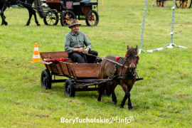 Zdjęcie 8
