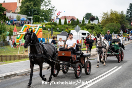 Zdjęcie 42