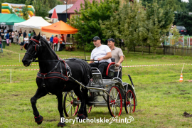 Zdjęcie 56