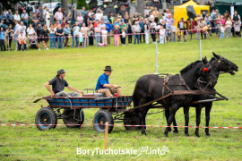 Zdjęcie 94