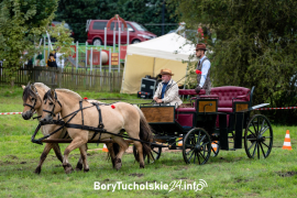 Zdjęcie 106