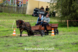 Zdjęcie 109