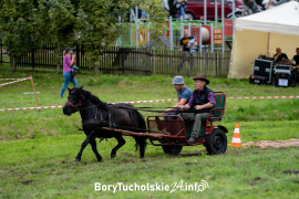 Zdjęcie 110