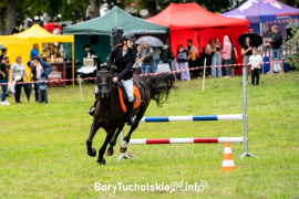 Zdjęcie 153