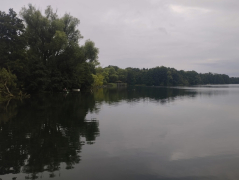 Zdjęcie 20